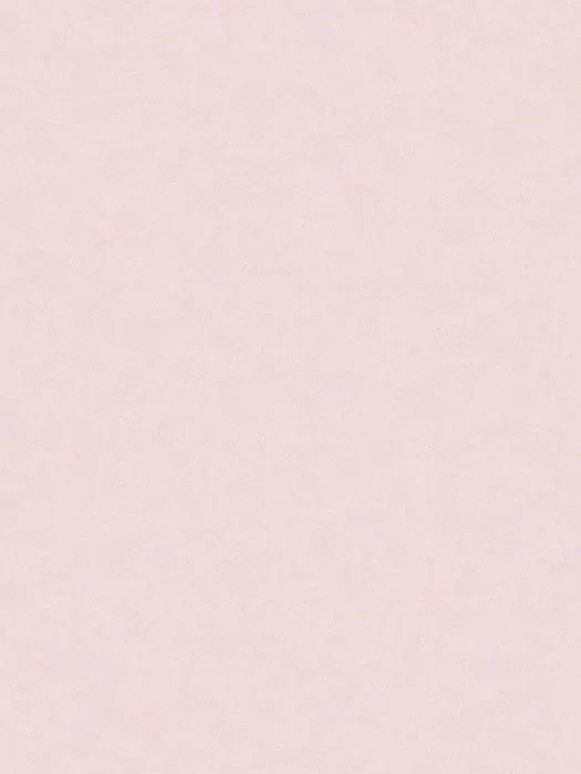 NP11 007