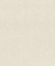Обои Rasch Rock´n Rolle 541342