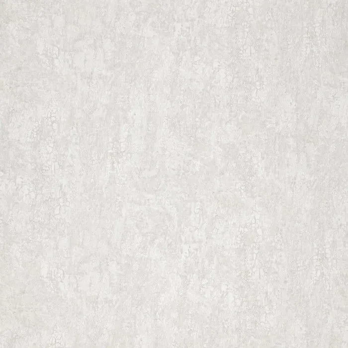 R11771