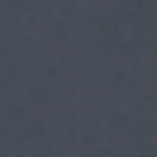 SP113