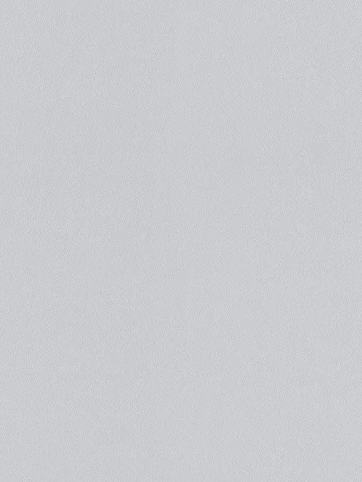 A100208