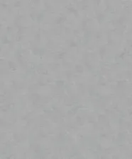 Обои Marburg Shades 32404