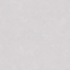 9929A