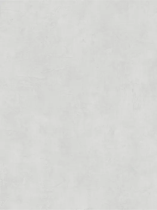 36205