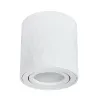 Точечный накладной светильник Arte Lamp FANG A5559PL-1WH | Дом Декора