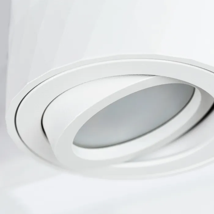 Точечный накладной светильник Arte Lamp FANG A5559PL-1WH | Дом Декора