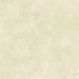 Z18929