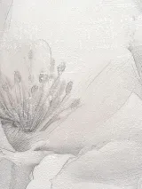 287027_4