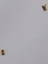 54419-3