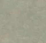 Z18919