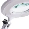 Офисная настольная лампа Arte Lamp LUNA A2013LT-1WH | Дом Декора