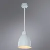 Подвесной светильник Arte Lamp BRACCIO A2054SP-1WH | Дом Декора