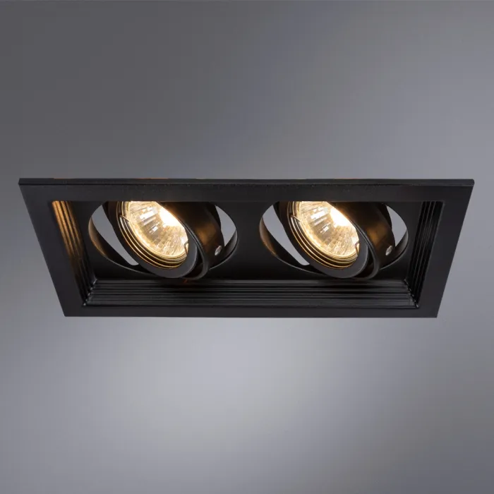 Точечный встраиваемый светильник Arte Lamp CANIS A6661PL-2BK | Дом Декора