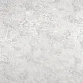 Обои Style Decor Папоротник HY101904