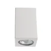 Точечный накладной светильник Arte Lamp TUBO A9264PL-1WH | Дом Декора