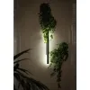 Фасадный светильник Arte Lamp TEJAT A5424AL-1BK | Дом Декора