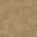 Zambaiti Parati Trussardi VIII Z30348