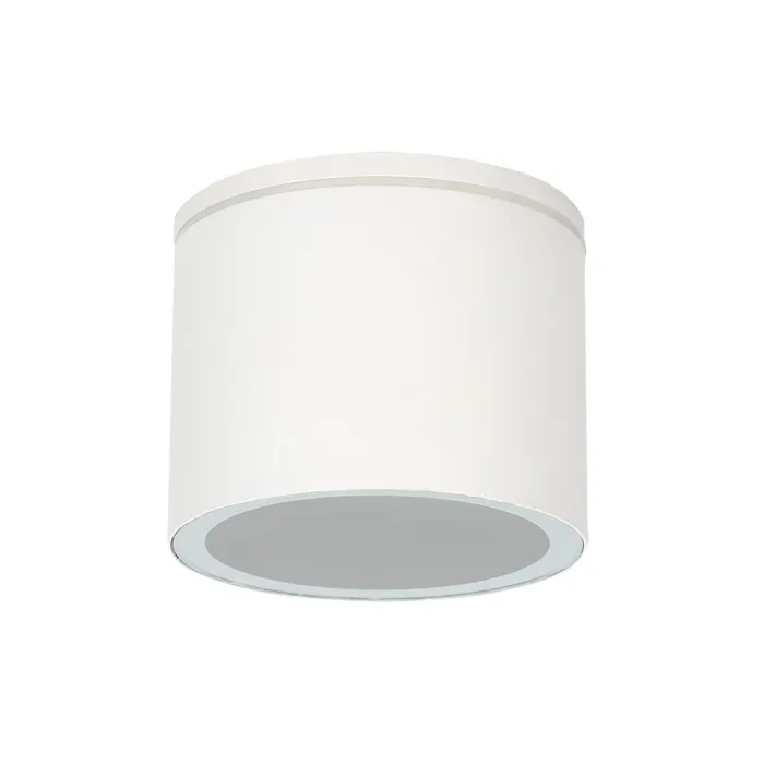 Уличный потолочный светильник Arte Lamp PIAUTOS A1913PF-1WH | Дом Декора