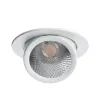 Точечный встраиваемый светильник Arte Lamp CARDANI A1212PL-1WH | Дом Декора