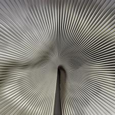 Панно Zambaiti Parati Trussardi VII Z18990