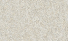 A55107
