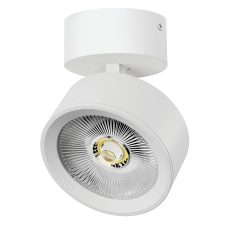 Светильник накладной LED 30W с накладной чашей Alta Pro Lightstar A5636SO